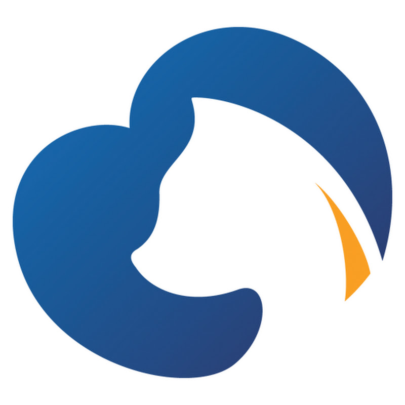 Animate - Animal dating app!