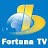 Fortuna regional TV