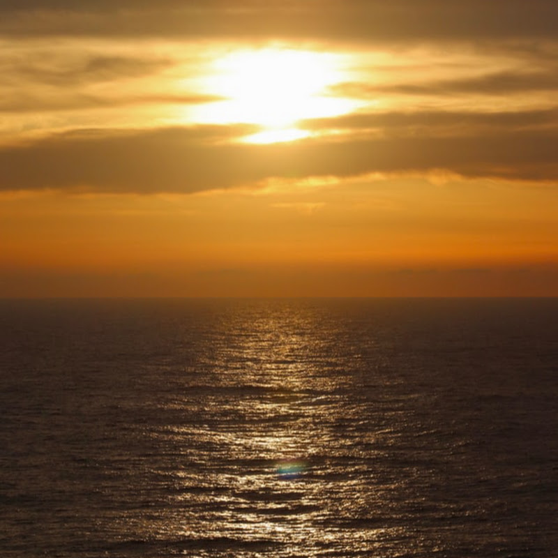 Calming & Relaxing Videos