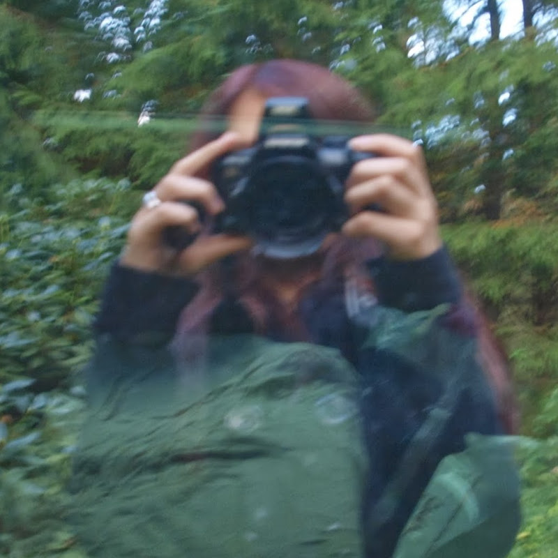 lovelyorangetree icon