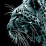 Channel Image
