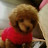 @쿠르미-m1g
