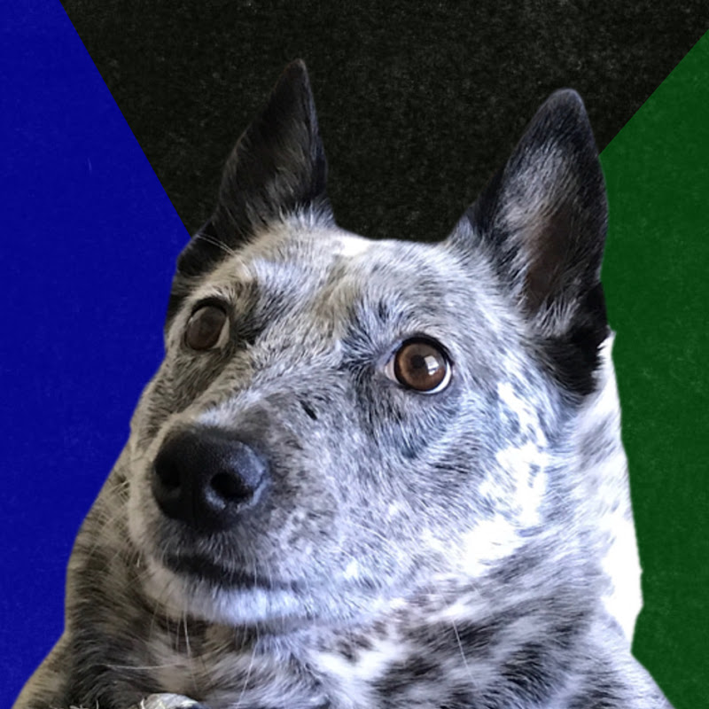 NoDak Express Gaming