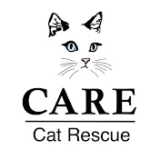 CARE - Cat Adoption & Rescue Efforts, Inc