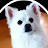 @user-wc1gb9lt3r