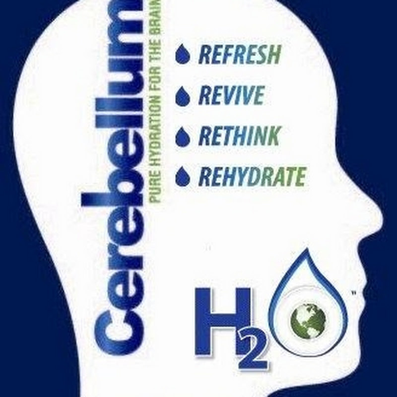 Cerebellum Bev