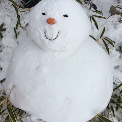 ヤマモトサン/YAMAMOTOSAN