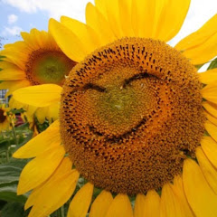 毛利Pチャンネル