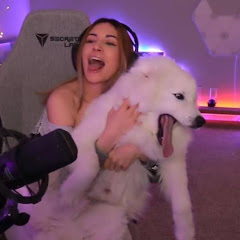 Alinity Highlights
