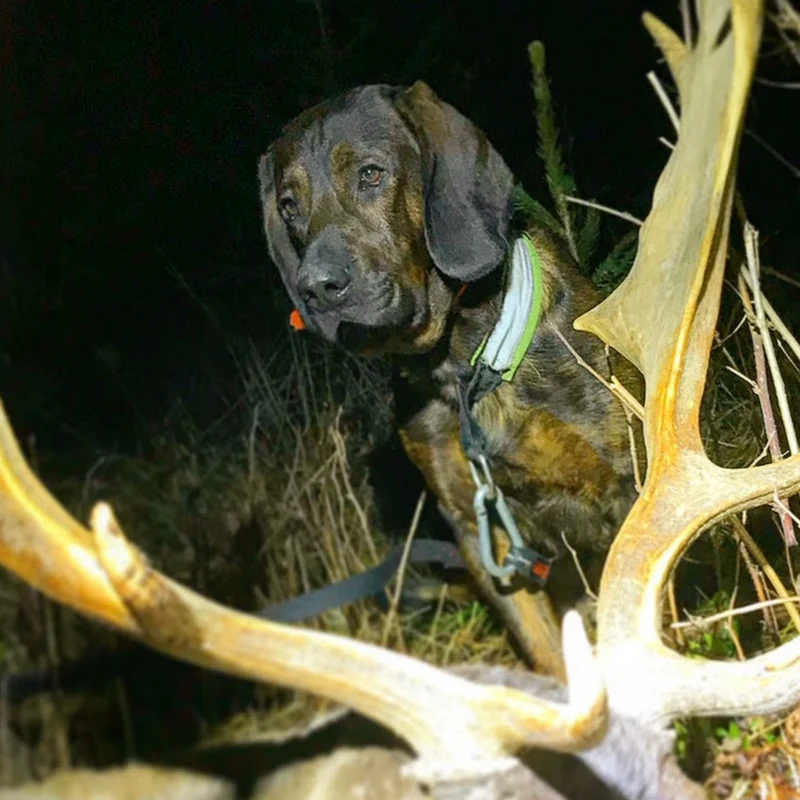 Mattias Heed Eftersök