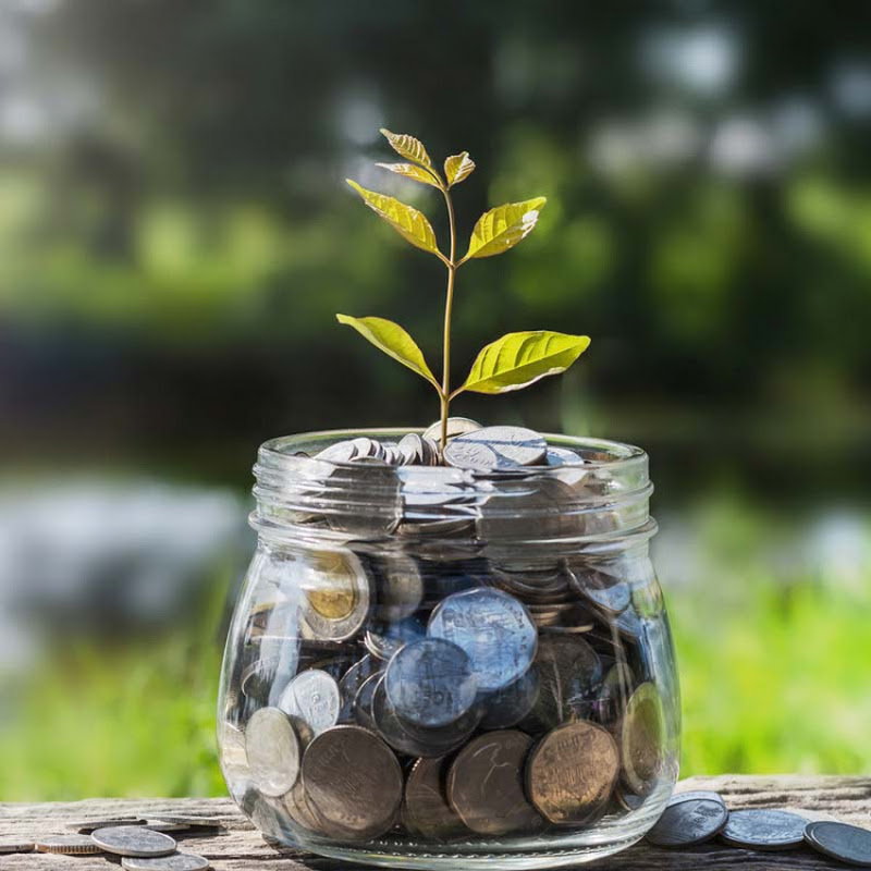 Washington Wealth Strategies