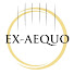 Dy7BsJ8FxVo-channel-avatar-Ex-Aequo