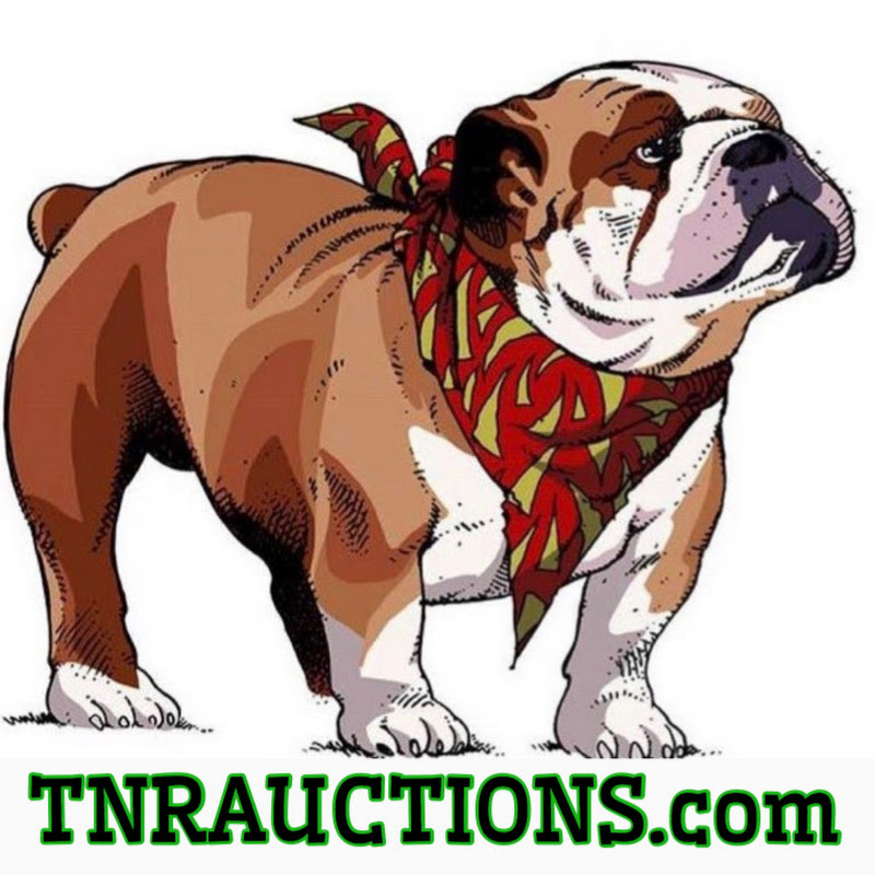 TNRAUCTIONS.com