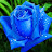 avatar of @najibahlassiter7573