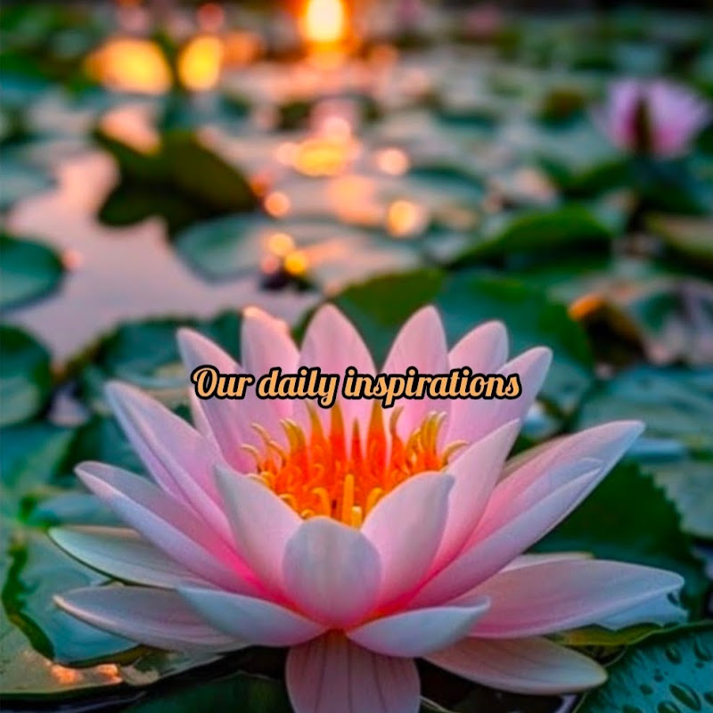 Our Daily Inspirations