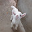 @user-kg1jx4no6i