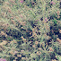 4g0yvzvswe8-channel-avatar-cloudy