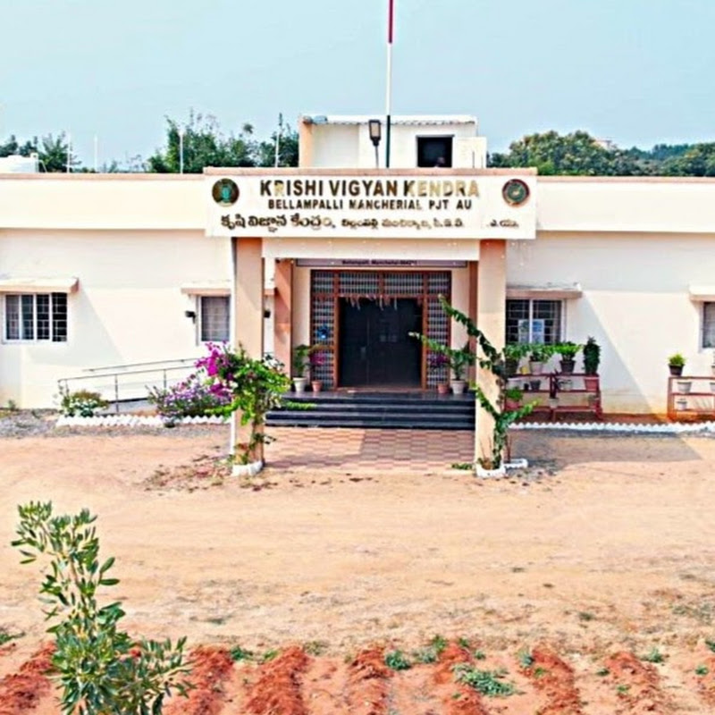 KVK Bellampalli