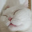 @뀌비뀌비