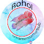 bohol ornamental fish hub logo