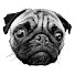7OYYuK2Y7d0-channel-avatar-The Theology Pugcast