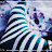 @passionofsinging4098 Avatar