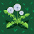 @김심자-w1h
