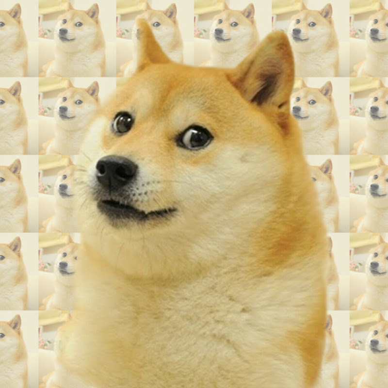 DogsOnAcid