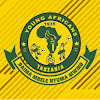 What could Yanga TV buy with $1.7 million?