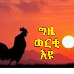 Zemenfes Amanuel net worth