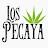 Los Pecaya