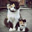 @jeanwhitaker6129 Avatar