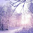 @faizan6581 Avatar