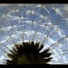 hRqr368UIyY-channel-avatar-Ash