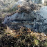 _GF3JqSBxlU-channel-avatar-Stećci in medieval Bosnia. Bosnia & Herzegovina
