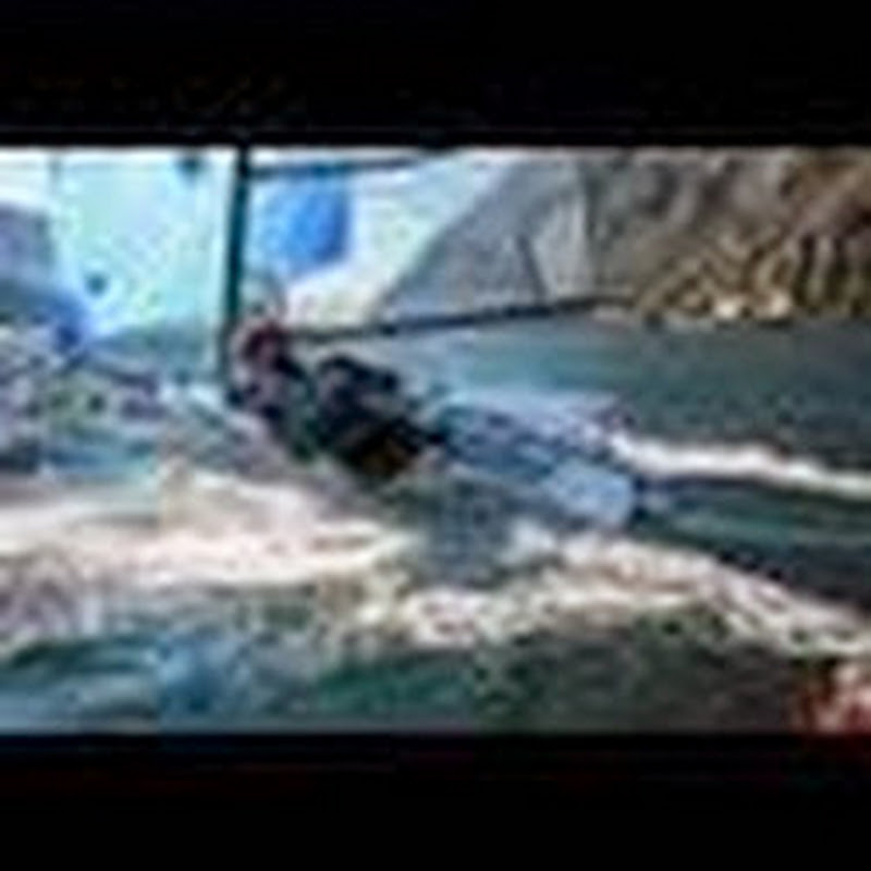 devotisailing