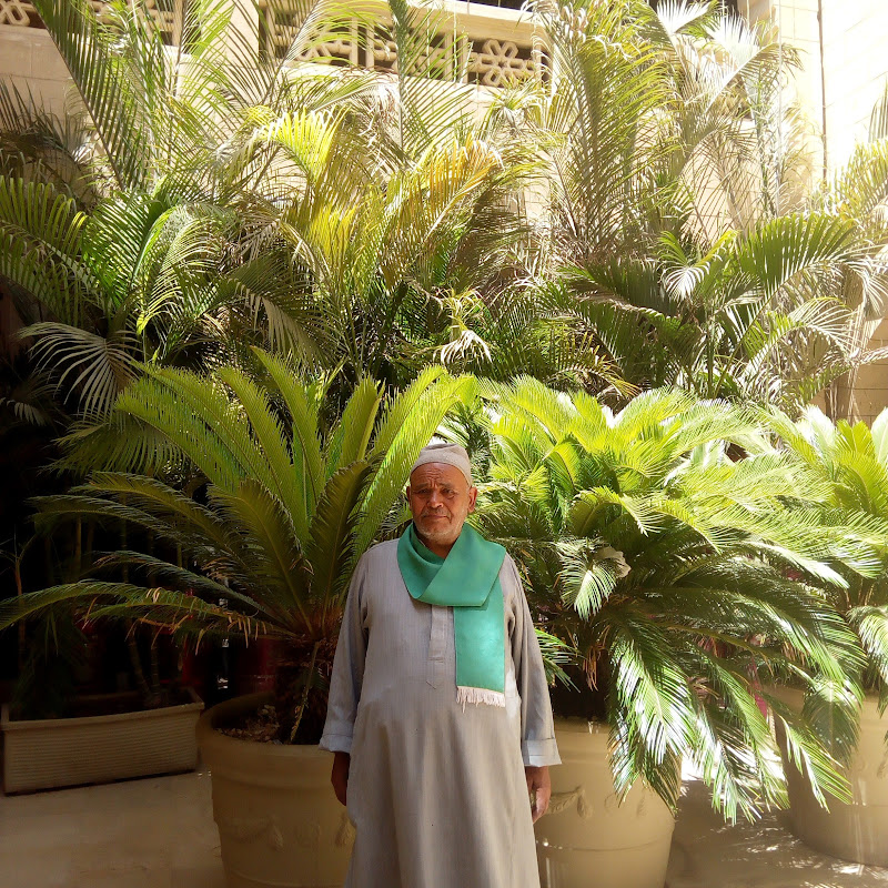 فوزي عرفه سليم