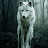 @silentwolvesnld8831's avatar