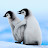 @user-du1tc4qc2kk