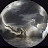 @peetersbjorn's avatar
