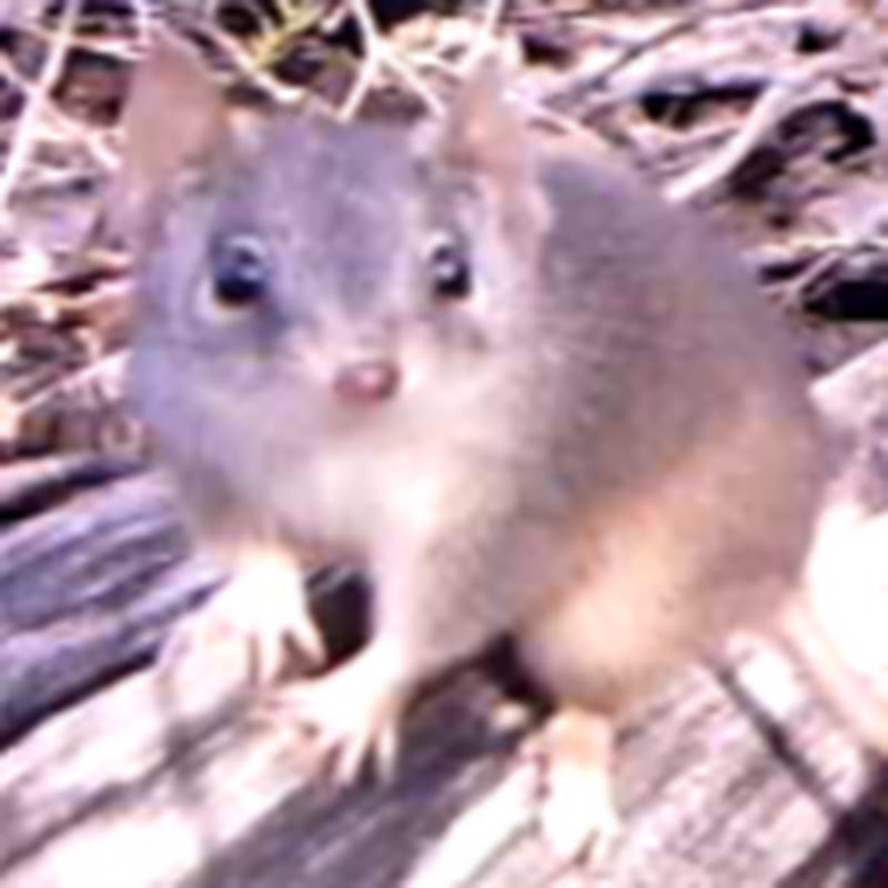 Guba na Nature Refuge