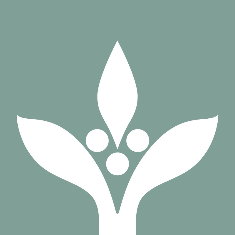 Hanns R. Neumann Stiftung