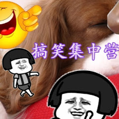 搞笑短剧集中营アイコン画像