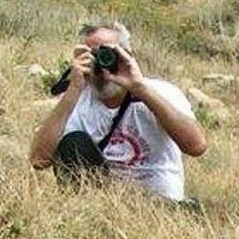 Channel Avatar