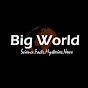 Big World logo