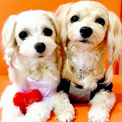 ワンLoveルーサーママ