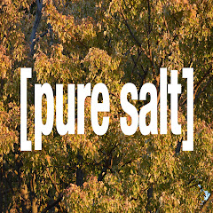 The PURE SALT Channel