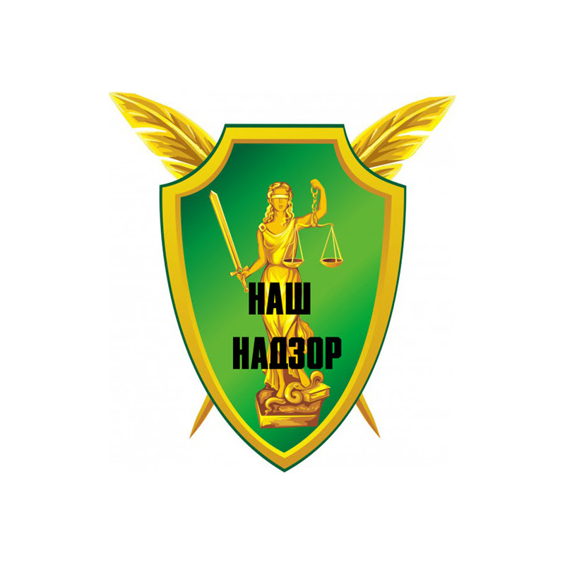 НАШ НАДЗОР Logo