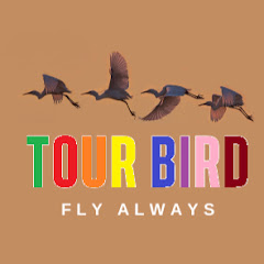 TOUR BIRD channel logo