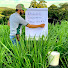 dLyJn5mvXoY-channel-avatar-Agrônomo Fábricio Andrade
